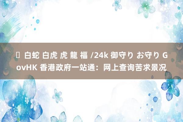 ✨白蛇 白虎 虎 龍 福 /24k 御守り お守り GovHK 香港政府一站通：网上查询苦求景况