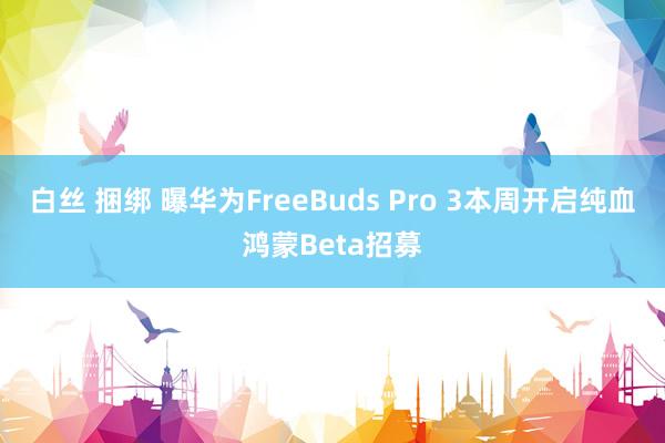 白丝 捆绑 曝华为FreeBuds Pro 3本周开启纯血鸿蒙Beta招募