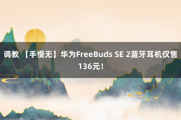 调教 【手慢无】华为FreeBuds SE 2蓝牙耳机仅售136元！