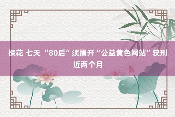 探花 七天 “80后”须眉开“公益黄色网站”获刑近两个月