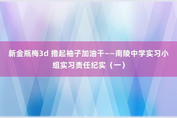 新金瓶梅3d 撸起袖子加油干——南陵中学实习小组实习责任纪实（一）