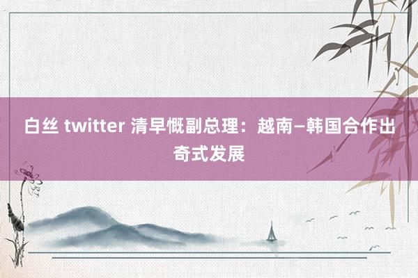 白丝 twitter 清早慨副总理：越南—韩国合作出奇式发展