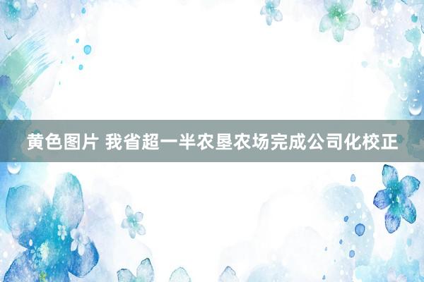 黄色图片 我省超一半农垦农场完成公司化校正